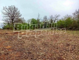 Снимка Продава ПАРЦЕЛ