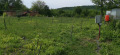 Продава ПАРЦЕЛ, област Ловеч, с. Батулци • 20000 € • 78247430 10 — Holmes.bg Продава ПАРЦЕЛ, област Ловеч, с. Батулци • 20000 € • 78247430 10