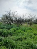 Продава Парцел област Стара Загора , с. Плодовитово , 1902 кв.м | 51707785 — Imoti.com Продава Парцел област Стара Загора , с. Плодовитово , 1902 кв.м | 51707785