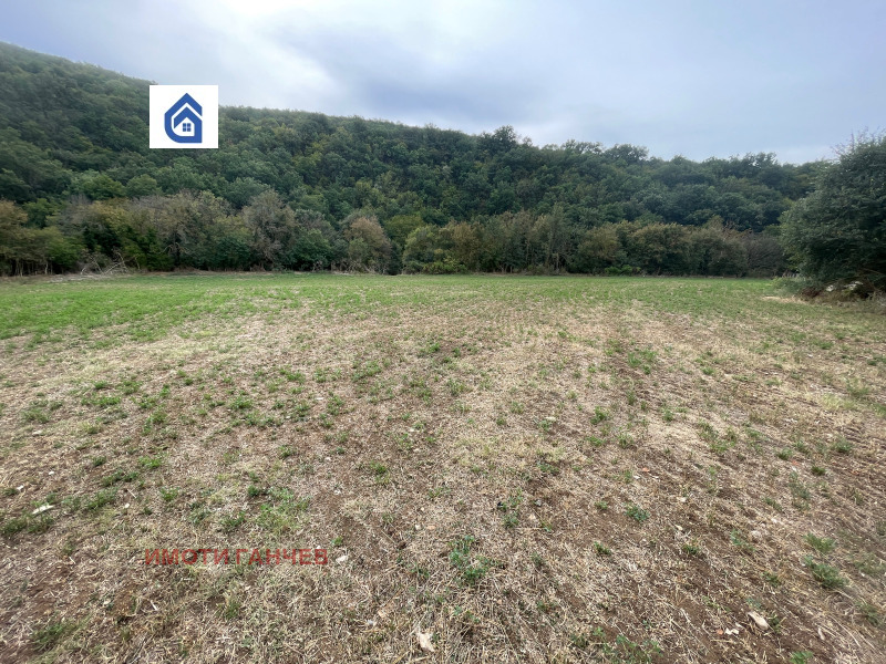 Продава ПАРЦЕЛ, област Стара Загора, с. Лясково • 42200 € • 22811075 1 — Holmes.bg Продава ПАРЦЕЛ, област Стара Загора, с. Лясково • 42200 € • 22811075 1
