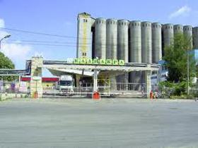 Продажба на земеделски земи в област Добрич - изображение 8 