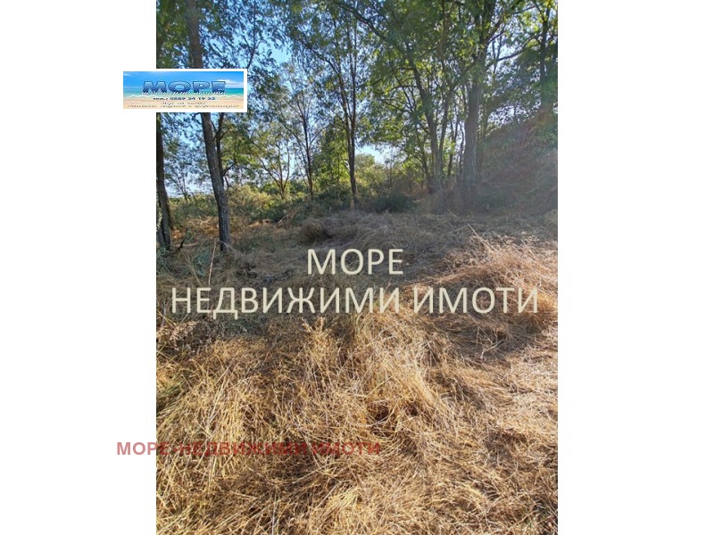 Продава ПАРЦЕЛ, област Бургас, с. Дюлево • 34636 € • 13774079 1 — Holmes.bg Продава ПАРЦЕЛ, област Бургас, с. Дюлево • 34636 € • 13774079 1