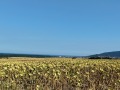Продава ПАРЦЕЛ, област Добрич, с. Рогачево • 250000 € • 82589459 4 — Holmes.bg Продава ПАРЦЕЛ, област Добрич, с. Рогачево • 250000 € • 82589459 4