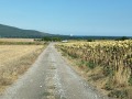 Продава ПАРЦЕЛ, област Добрич, с. Рогачево • 250000 € • 82589459 3 — Holmes.bg Продава ПАРЦЕЛ, област Добрич, с. Рогачево • 250000 € • 82589459 3