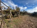 Продава КЪЩА, област Пловдив, с. Горни Домлян • 60000 € • 31108886 14 — Holmes.bg Продава КЪЩА, област Пловдив, с. Горни Домлян • 60000 € • 31108886 14