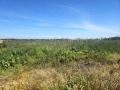 Продава ПАРЦЕЛ, град Пловдив, Пещерско шосе • 383699 € • 30874766 2 — Holmes.bg Продава ПАРЦЕЛ, град Пловдив, Пещерско шосе • 383699 € • 30874766 2