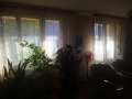 Продава 4-СТАЕН, град Враца, Център • 229999 € • 23876778 10 — Holmes.bg Продава 4-СТАЕН, град Враца, Център • 229999 € • 23876778 10