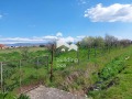 Продава Парцел област Пловдив , с. Момино село , 5000 кв.м | 83869613 — Imoti.com Продава Парцел област Пловдив , с. Момино село , 5000 кв.м | 83869613