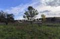 Продава ПРОМ. ПОМЕЩЕНИЕ, област Варна, с. Водица • 85000 € • 83323580 4 — Holmes.bg Продава ПРОМ. ПОМЕЩЕНИЕ, област Варна, с. Водица • 85000 € • 83323580 4