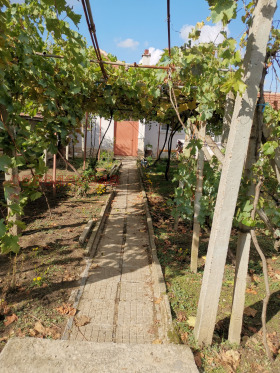 Обява Продава КЪЩА,с. Пелишат, област Плевен