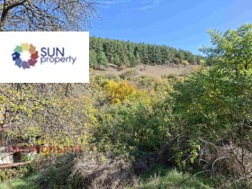 Обява Продава КЪЩА,град София, с. Желява>