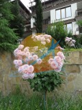 Продава 1-СТАЕН, област Бургас, гр. Созопол • 73424 € / 143604.86 лв. • 62922220 6 — Holmes.bg Продава 1-СТАЕН, област Бургас, гр. Созопол • 73424 € / 143604.86 лв. • 62922220 6