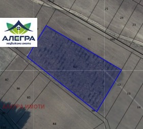 Продажба на земеделски земи в област Пазарджик - изображение 4 