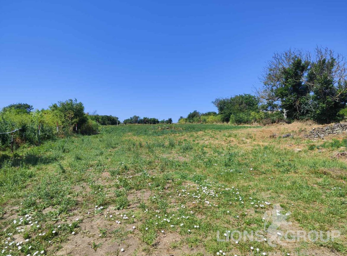 Продава Парцел област Варна , с. Войводино , 33000 кв.м | 99992386 — Imoti.com Продава Парцел област Варна , с. Войводино , 33000 кв.м | 99992386