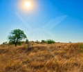 Продава Парцел област Бургас , гр. Поморие , 3905 кв.м | 53873405 — Imoti.com Продава Парцел област Бургас , гр. Поморие , 3905 кв.м | 53873405