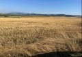 Продава ПАРЦЕЛ, област София, с. Алдомировци • 340000 € • 57028169 4 — Holmes.bg Продава ПАРЦЕЛ, област София, с. Алдомировци • 340000 € • 57028169 4