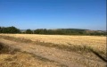 Продава ПАРЦЕЛ, област София, с. Алдомировци • 340000 € • 57028169 1 — Holmes.bg Продава ПАРЦЕЛ, област София, с. Алдомировци • 340000 € • 57028169 1