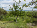 Продава ПАРЦЕЛ, град Шумен, м-т Под Манастира • 20000 € • 75653224 1 — Holmes.bg Продава ПАРЦЕЛ, град Шумен, м-т Под Манастира • 20000 € • 75653224 1