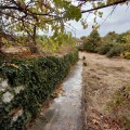 Продава КЪЩА, област Враца, с. Баница • 35000 € • 99330138 4 — Holmes.bg Продава КЪЩА, област Враца, с. Баница • 35000 € • 99330138 4