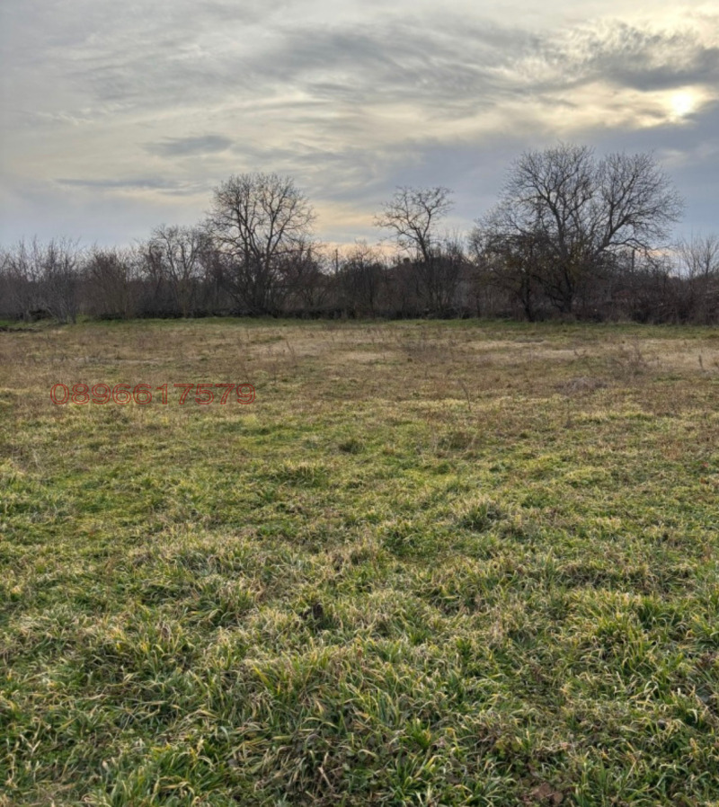 Продава ПАРЦЕЛ, област Шумен, с. Менгишево • по договаряне • 32259304 1 — Holmes.bg Продава ПАРЦЕЛ, област Шумен, с. Менгишево • по договаряне • 32259304 1