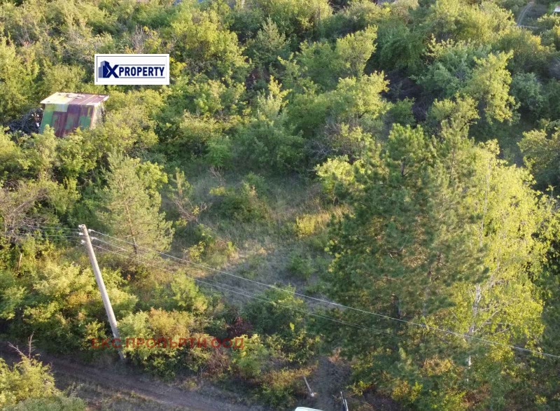 Продава ПАРЦЕЛ, област Перник, с. Радуй • 12000 € / 23469.96 лв. • 51631103 1 — Holmes.bg Продава ПАРЦЕЛ, област Перник, с. Радуй • 12000 € / 23469.96 лв. • 51631103 1