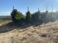 Продава ПАРЦЕЛ, област Пловдив, с. Бегунци • 69000 € • 14772506 2 — Holmes.bg Продава ПАРЦЕЛ, област Пловдив, с. Бегунци • 69000 € • 14772506 2
