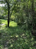 Продава ПАРЦЕЛ, област Перник, с. Ковачевци • 21000 € / 41072.43 лв. • 53355215 5 — Holmes.bg Продава ПАРЦЕЛ, област Перник, с. Ковачевци • 21000 € / 41072.43 лв. • 53355215 5