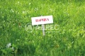 Продава ПАРЦЕЛ, град София, Горна баня • 63000 € / 123217.29 лв. • 84702398 1 — Holmes.bg Продава ПАРЦЕЛ, град София, Горна баня • 63000 € / 123217.29 лв. • 84702398 1
