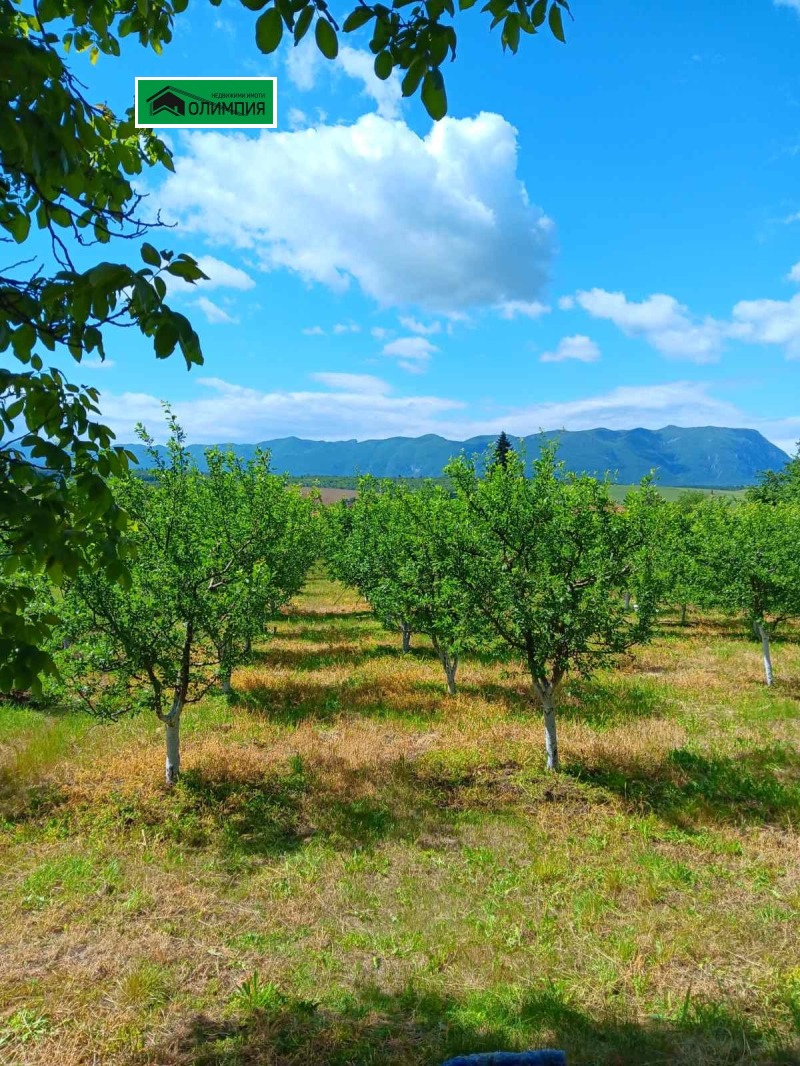 Продава ПАРЦЕЛ, област Враца, с. Лиляче • 20000 € / 39116.60 лв. • 70788572 1 — Holmes.bg Продава ПАРЦЕЛ, област Враца, с. Лиляче • 20000 € / 39116.60 лв. • 70788572 1