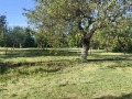 Продава ВИЛА, град Враца, Дъбника • 44000 € / 86056.52 лв. • 73680502 6 — Holmes.bg Продава ВИЛА, град Враца, Дъбника • 44000 € / 86056.52 лв. • 73680502 6