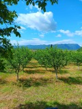 Продава Парцел област Враца , с. Лиляче , 1150 кв.м | 40010562 — Imoti.com Продава Парцел област Враца , с. Лиляче , 1150 кв.м | 40010562