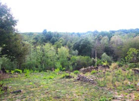 ПАРЦЕЛ, 768 m2 - Holmes.bg ПАРЦЕЛ, 768 m2