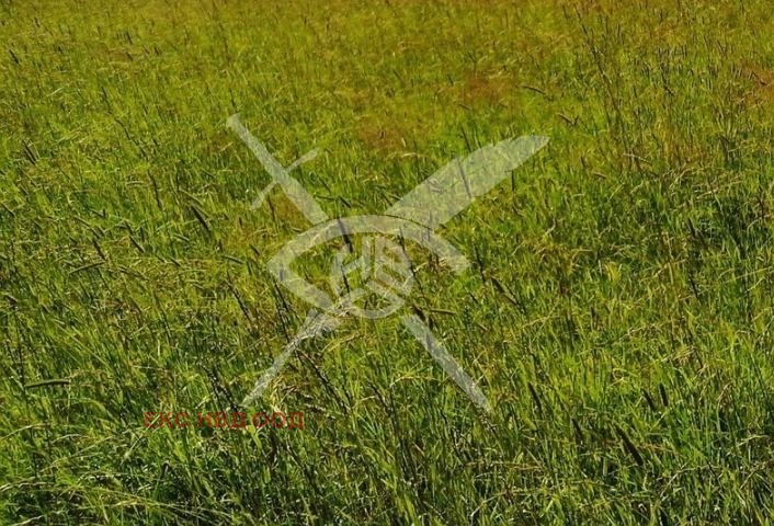 Продава ПАРЦЕЛ, област Пловдив, с. Граф Игнатиево • 26200 € / 51242.75 лв. • 43593038 1 — Holmes.bg Продава ПАРЦЕЛ, област Пловдив, с. Граф Игнатиево • 26200 € / 51242.75 лв. • 43593038 1