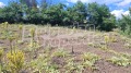 Продава ПАРЦЕЛ, област Благоевград, с. Горно Драглище • 35000 € / 68454.05 лв. • 54683650 8 — Holmes.bg Продава ПАРЦЕЛ, област Благоевград, с. Горно Драглище • 35000 € / 68454.05 лв. • 54683650 8