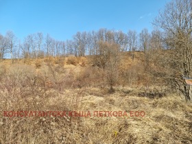 Продажба на земеделски земи в област Ловеч - изображение 3 