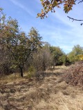 Продава КЪЩА, област Перник, с. Гърло • 59900 € • 49923268 17 — Holmes.bg Продава КЪЩА, област Перник, с. Гърло • 59900 € • 49923268 17