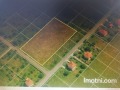 Продава Земеделска земя област Пазарджик , с. Елшица , 5 дка | 41210339 — Imoti.com Продава Земеделска земя област Пазарджик , с. Елшица , 5 дка | 41210339