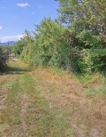 Продава Парцел област Велико Търново , с. Церова кория , 1045 кв.м | 40521524 — Imoti.com Продава Парцел област Велико Търново , с. Церова кория , 1045 кв.м | 40521524
