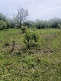Продава ПАРЦЕЛ, област Разград, с. Подайва • 10000 € • 94308141 3 — Holmes.bg Продава ПАРЦЕЛ, област Разград, с. Подайва • 10000 € • 94308141 3