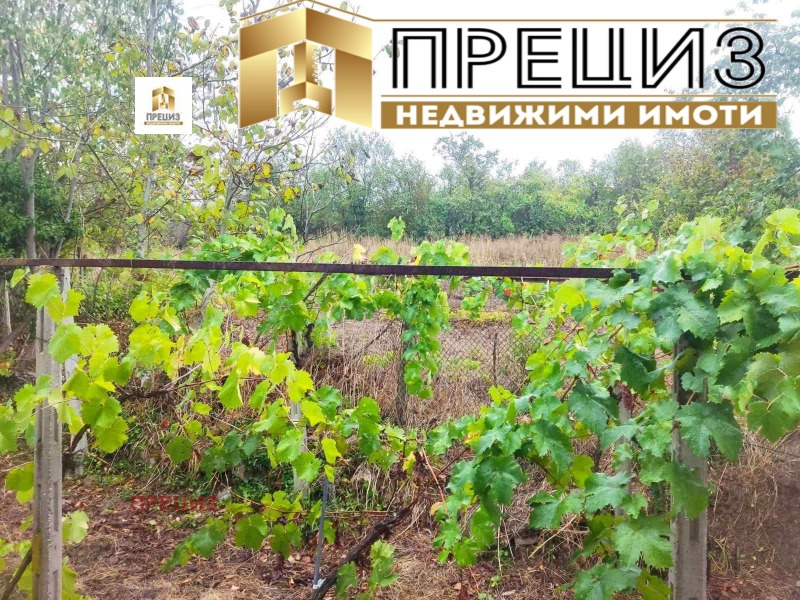Продава КЪЩА, област Шумен, с. Златар • 10000 € / 19558.30 лв. • 38778791 1 — Holmes.bg Продава КЪЩА, област Шумен, с. Златар • 10000 € / 19558.30 лв. • 38778791 1