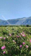 Продава Земеделска земя област Пловдив , гр. Карлово , 63 дка | 59617315 — Imoti.com Продава Земеделска земя област Пловдив , гр. Карлово , 63 дка | 59617315
