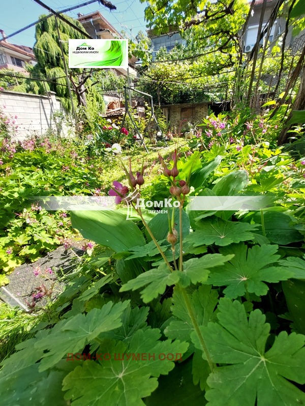 Продава 4-СТАЕН, град Шумен, Център • 239000 лв. / 122198.76 € • 83884077 1 — Holmes.bg Продава 4-СТАЕН, град Шумен, Център • 239000 лв. / 122198.76 € • 83884077 1