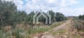 Продава ПАРЦЕЛ, Гърция, Халкидики • 165000 € / 322711.95 лв. • 38784922 14 — Holmes.bg Продава ПАРЦЕЛ, Гърция, Халкидики • 165000 € / 322711.95 лв. • 38784922 14