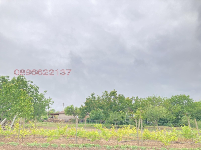 Продава ПАРЦЕЛ, област Добрич, гр. Шабла • 56000 € / 109526.48 лв. • 43143748 1 — Holmes.bg Продава ПАРЦЕЛ, област Добрич, гр. Шабла • 56000 € / 109526.48 лв. • 43143748 1