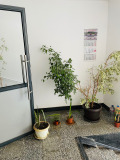 Под наем 2-СТАЕН, град София, Дружба 1 • 600 € • 34699941 15 — Holmes.bg Под наем 2-СТАЕН, град София, Дружба 1 • 600 € • 34699941 15
