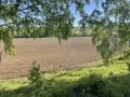 Дава под наем Място град Ловеч , Широк център , 9099 кв.м | 33100542 — Imoti.com Дава под наем Място град Ловеч , Широк център , 9099 кв.м | 33100542
