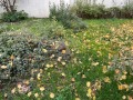 Под наем КЪЩА, град София, Център • 799 € / 1562.71 лв. • 71605662 17 — Holmes.bg Под наем КЪЩА, град София, Център • 799 € / 1562.71 лв. • 71605662 17