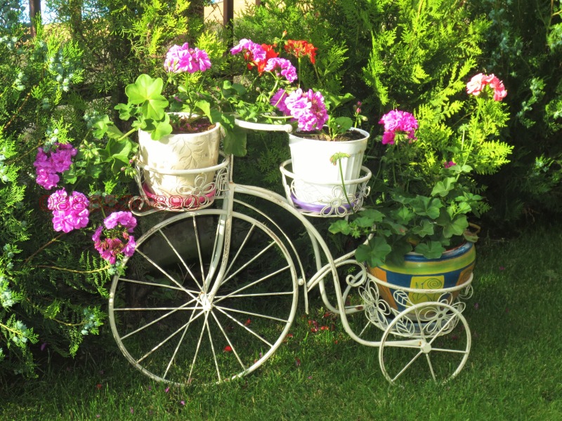 Под наем ГАРАЖ, ПАРКОМЯСТО, град Варна, Колхозен пазар • 500 лв. / 255.65 € • 66424647 1 — Holmes.bg Под наем ГАРАЖ, ПАРКОМЯСТО, град Варна, Колхозен пазар • 500 лв. / 255.65 € • 66424647 1