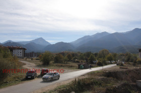 Studie Bansko, region Blagoevgrad 10