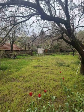 ������� ���� | Imot.bg � ����� ������ 2